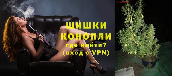 дживик Киренск