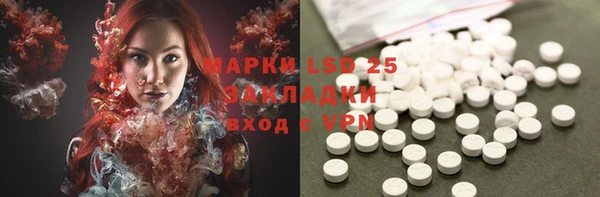 молекула духа Козельск