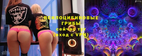 молекула духа Козельск