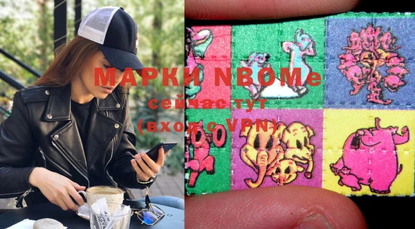 молекула духа Козельск