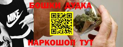 дмт Дубна