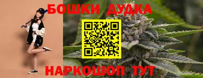 дмт Дубна