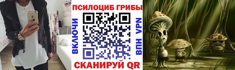 Псилоцибиновые грибы GOLDEN TEACHER  KRAKEN зеркало  Кыштым 