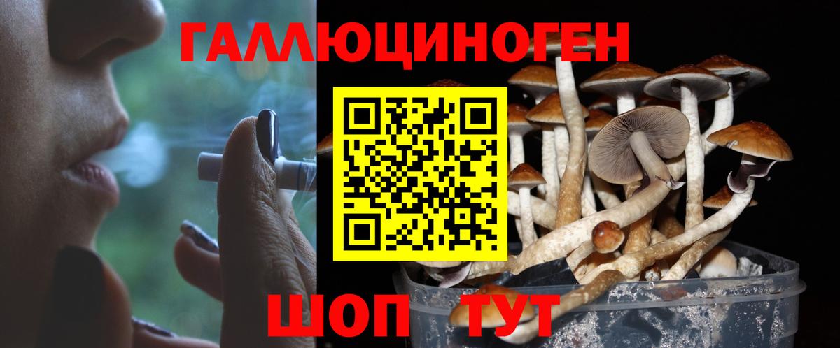 Кыштым  Галлюциногенные грибы мухоморы  Вход с VPN 